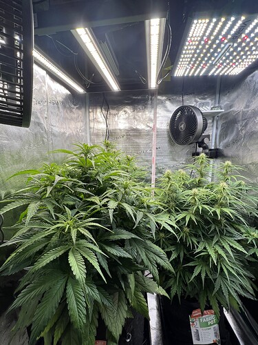 Growreport Bild 7
