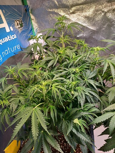 Growreport Bild 5
