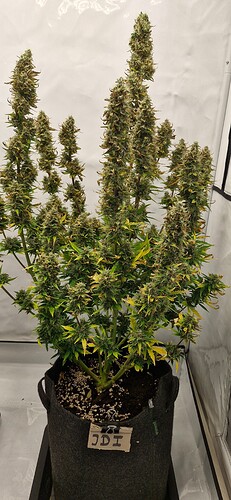 Growreport Bild 12