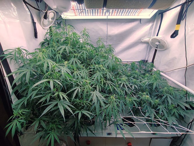 Growreport Bild 10