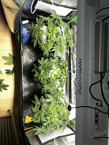 Growreport Bild 4