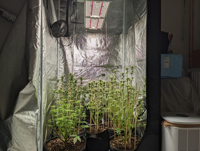 Growreport Bild 1