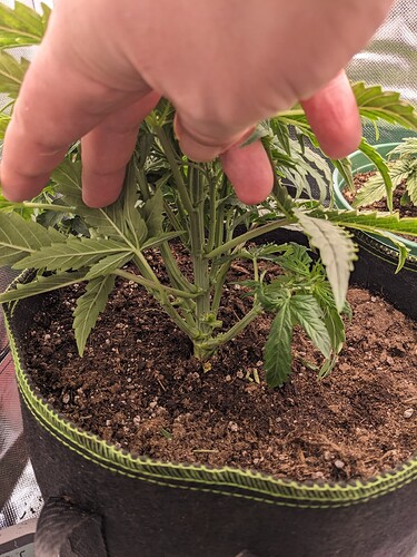 PXL_20240514_225937913