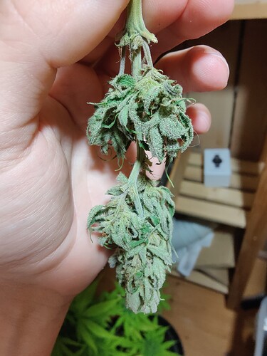 Growreport Bild 10