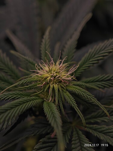 Growreport Bild 7
