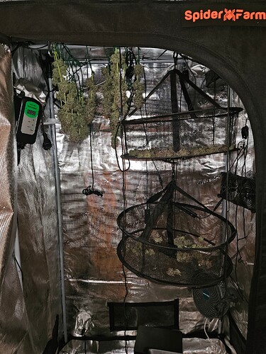 Growreport Bild 10