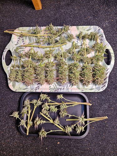 Growreport Bild 3