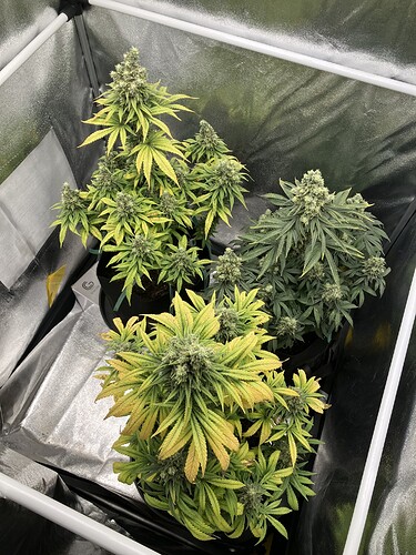 Growreport Bild 7