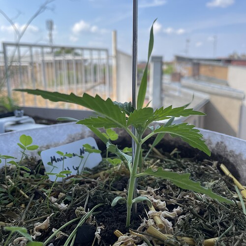 Growreport Bild 21