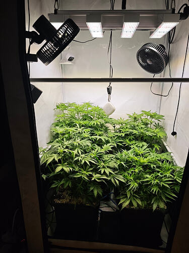 Growreport Bild 23