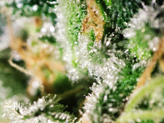 Growreport Bild 16