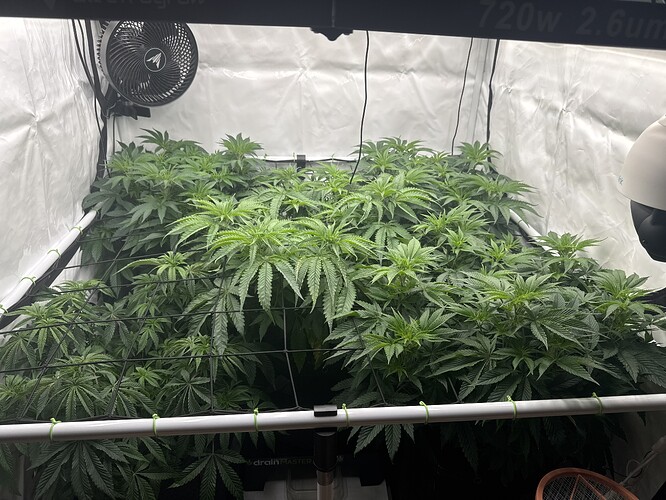 Growreport Bild 3