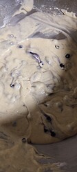 Growreport Bild 25