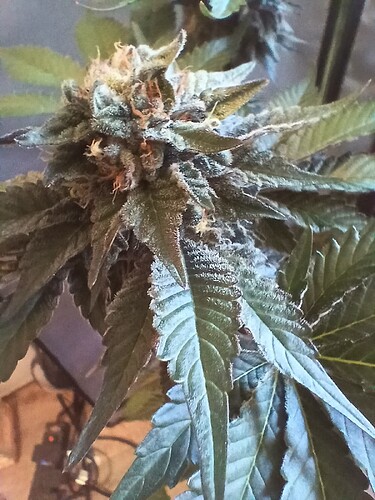 Growreport Bild 18
