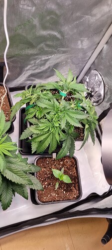 Growreport Bild 9