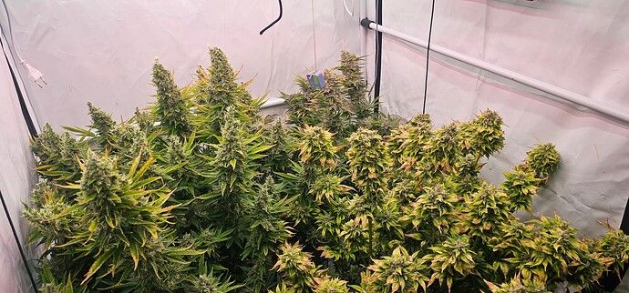 Growreport Bild 4