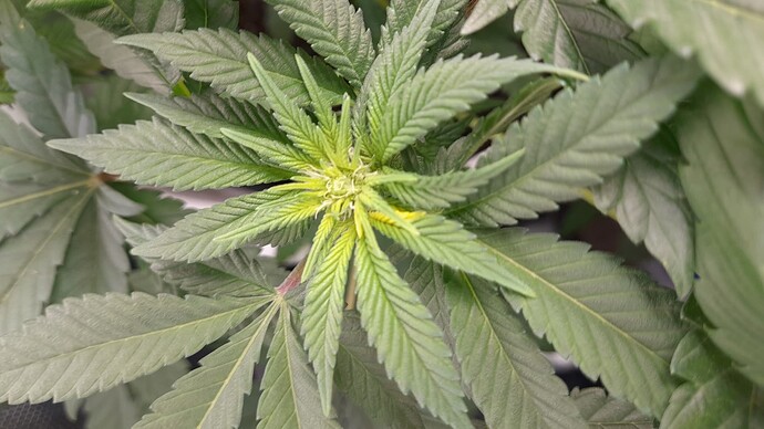 Growreport Bild 2