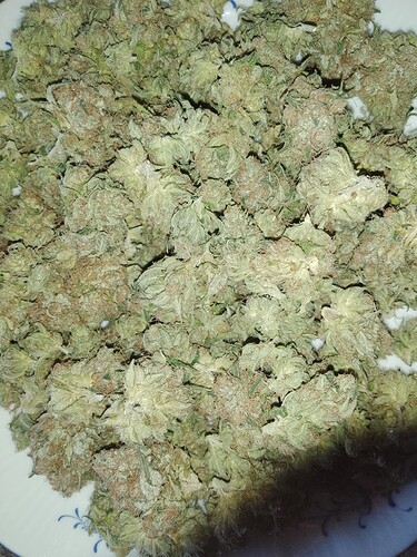 IMG_20240810_194416_221