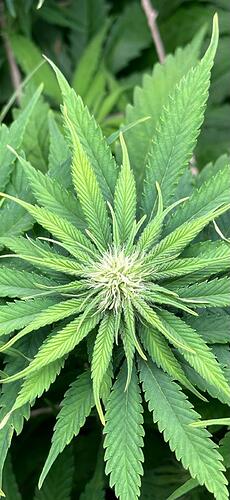 Growreport Bild 8