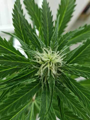 WhatsApp Image 2024-05-22 at 17.48.39 (5)