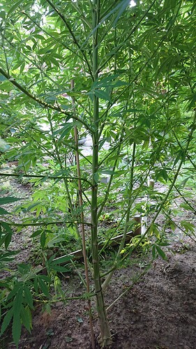 Growreport Bild 17