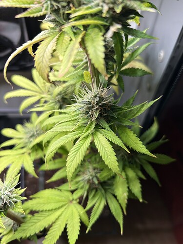 Growreport Bild 5