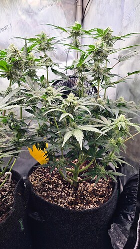 Growreport Bild 10