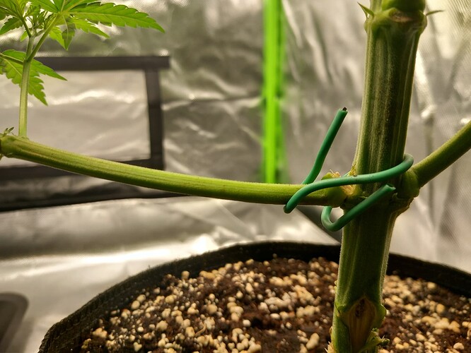 20240504_164106