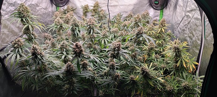 Growreport Bild 23