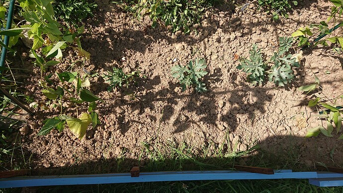 Growreport Bild 83