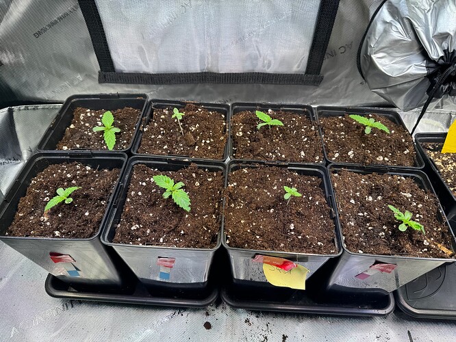 Growreport Bild 9