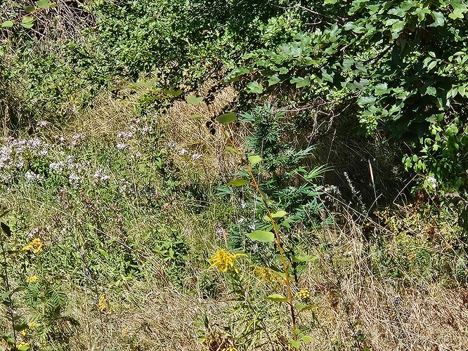 Growreport Bild 3