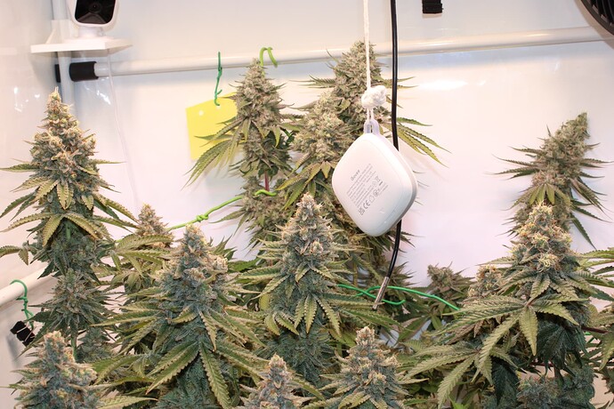 Growreport Bild 20