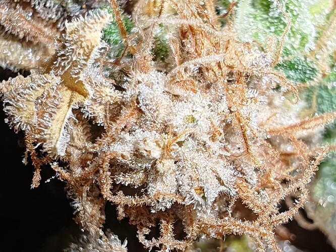 Growreport Bild 23