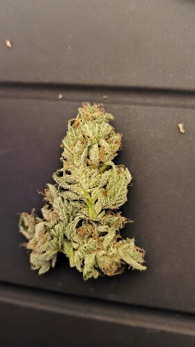 Growreport Bild 2