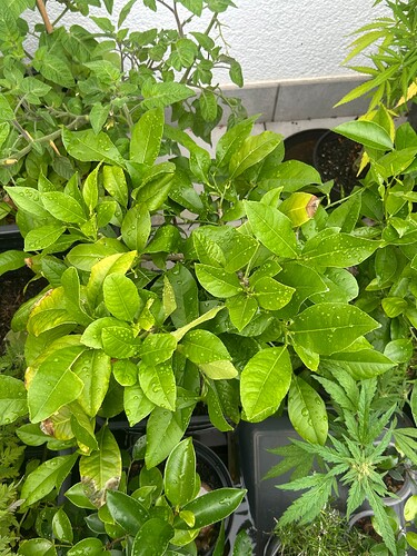 Growreport Bild 11