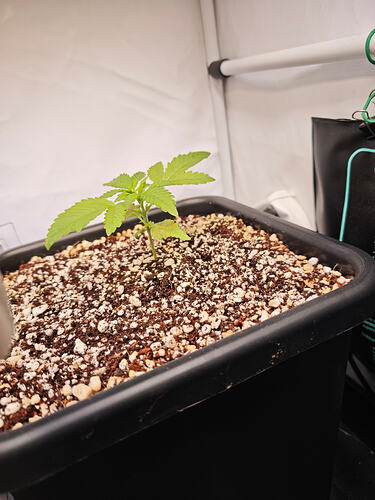 Growreport Bild 20