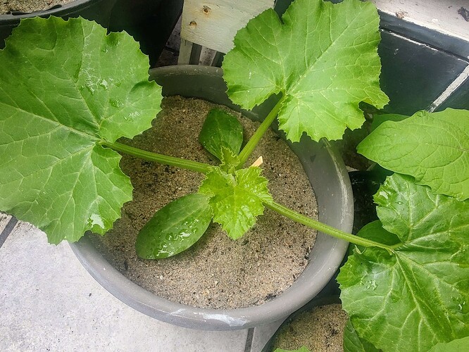 Growreport Bild 14