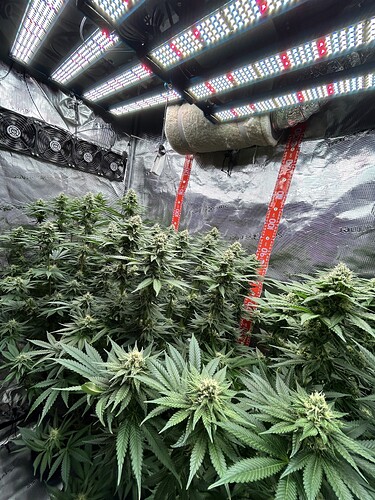 Growreport-Bild
