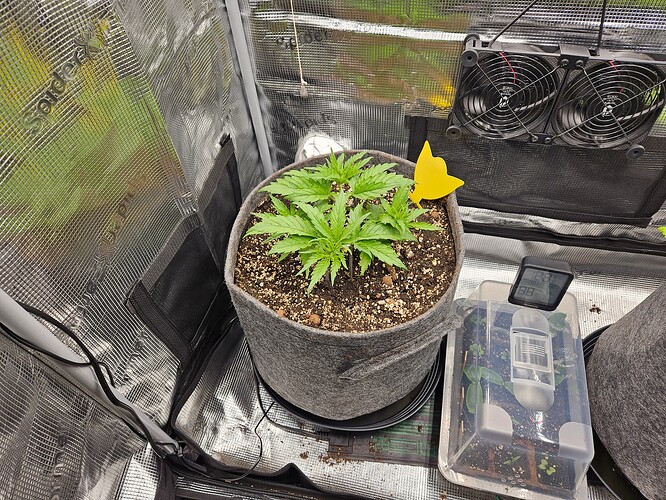 Growreport Bild 1