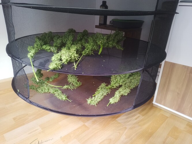 Growreport Bild 2