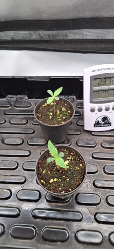Growreport Bild 11