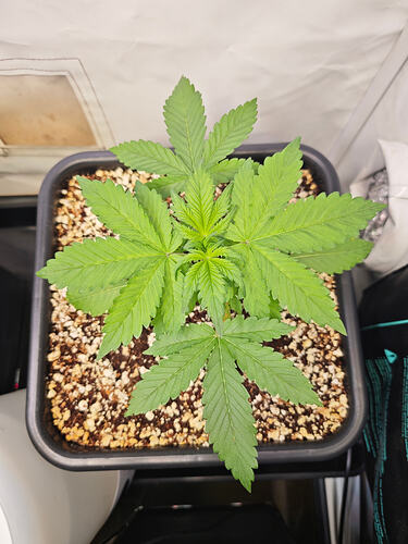 Growreport Bild 18