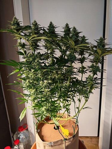 Growreport Bild 10