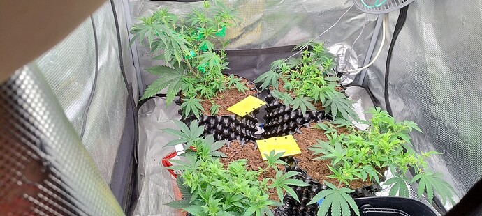 IMG_20251012_093811268_HDR