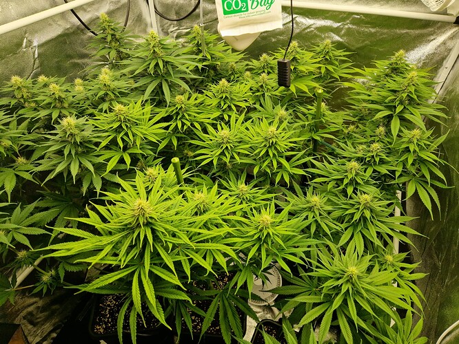 Growreport Bild 8