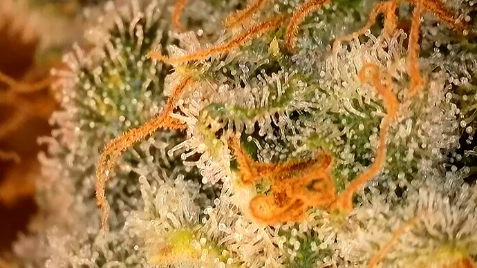 2024-08-18-08-22-42-070