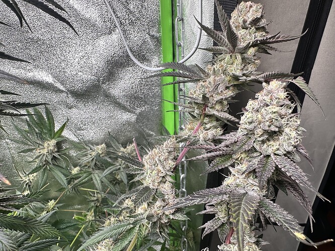 Growreport Bild 15