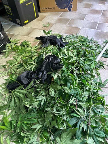 Growreport Bild 63