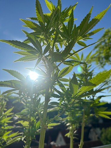 Growreport Bild 15